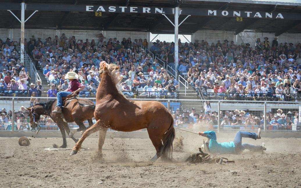 After COVID year off, Miles City Bucking Horse Sale comes back kicking