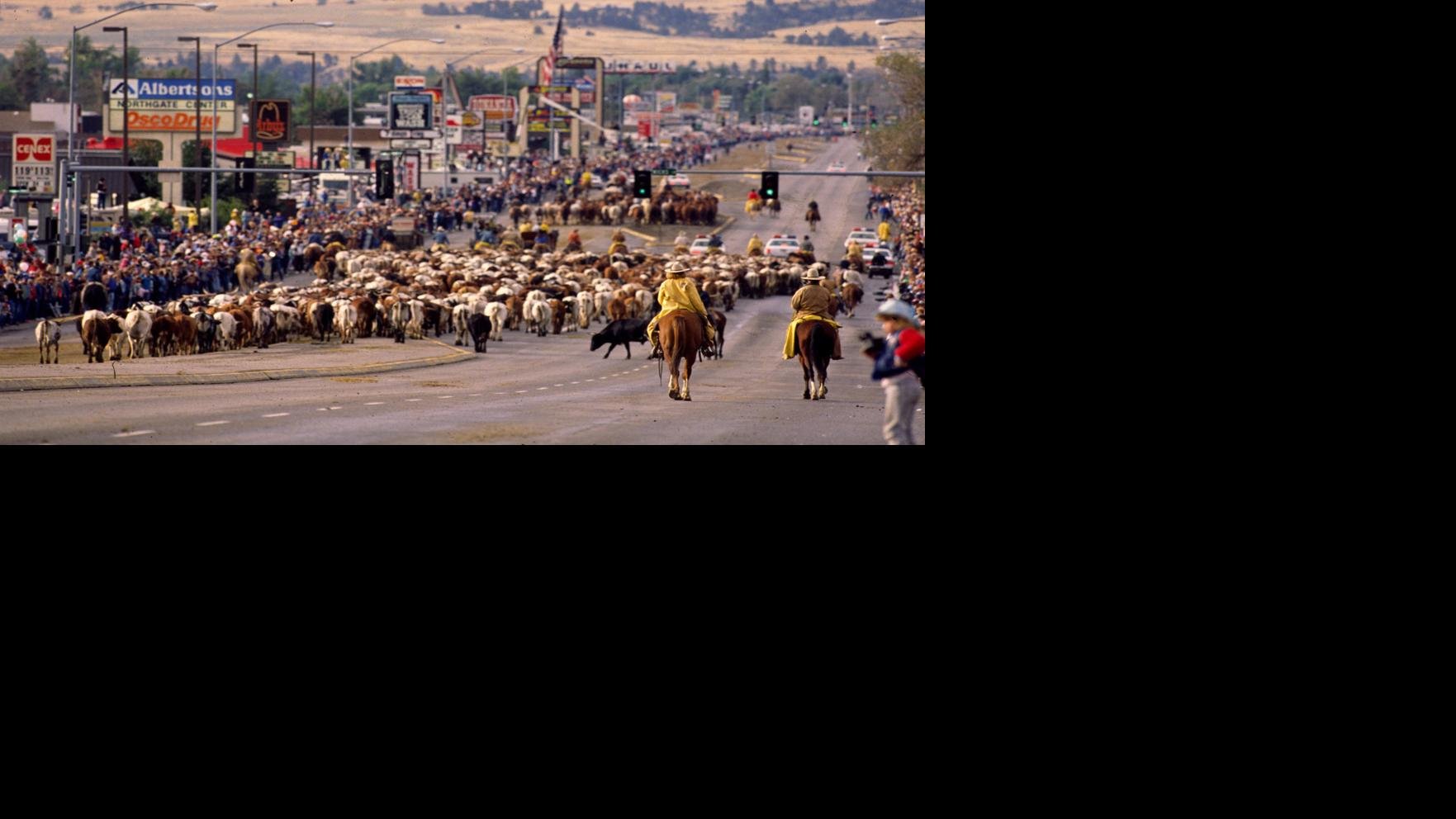 Retrospective The Great Montana Centennial Cattle Drive of 1989