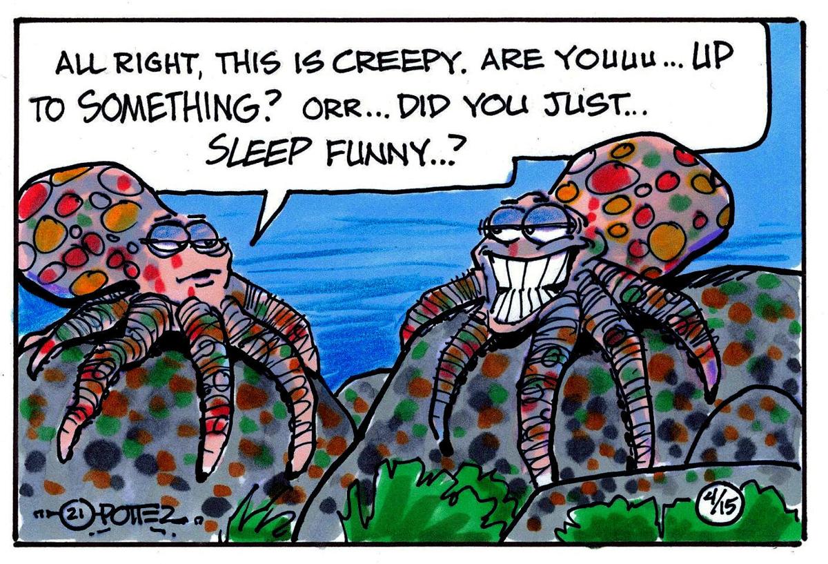 Octopus dreams