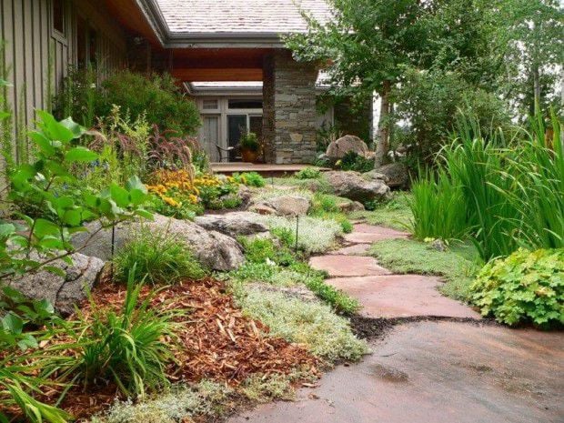 guide helps homeowners landscape less-thirsty lawns