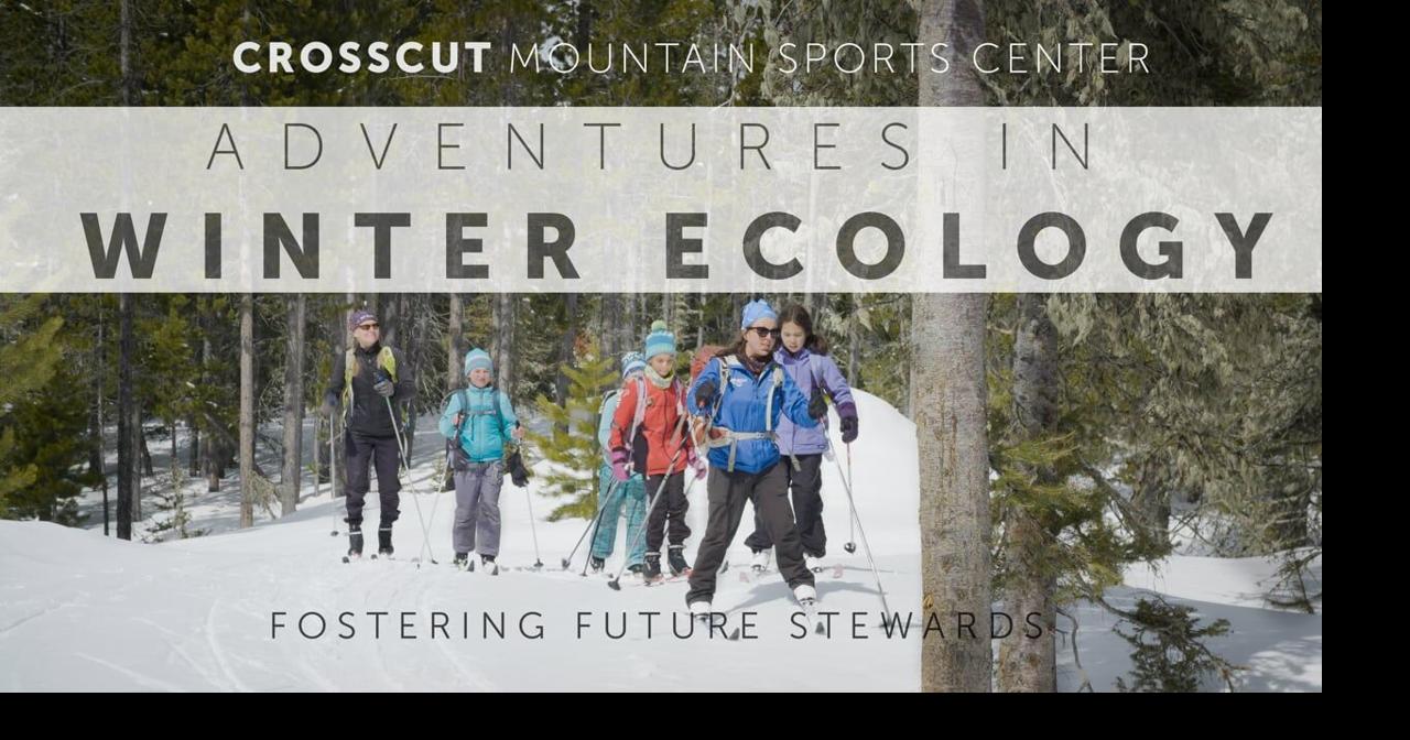 Adventures in Winter Ecology