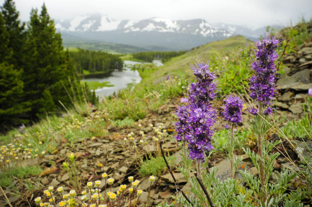 Judge: Conservation groups can’t join lawsuit over oil, gas drilling