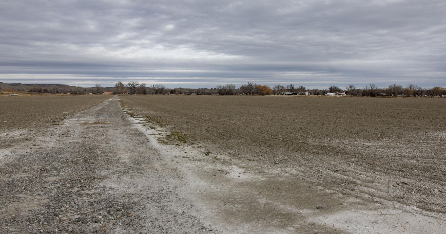 State of Montana purchases land near Laurel for mental health facility