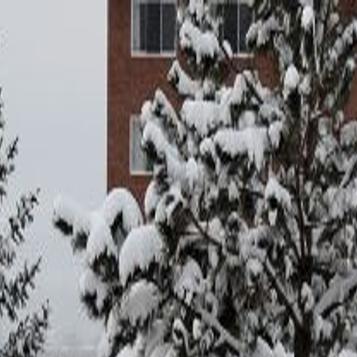 We Just Have Extremes Here 2014 Weather Brought Record Snow