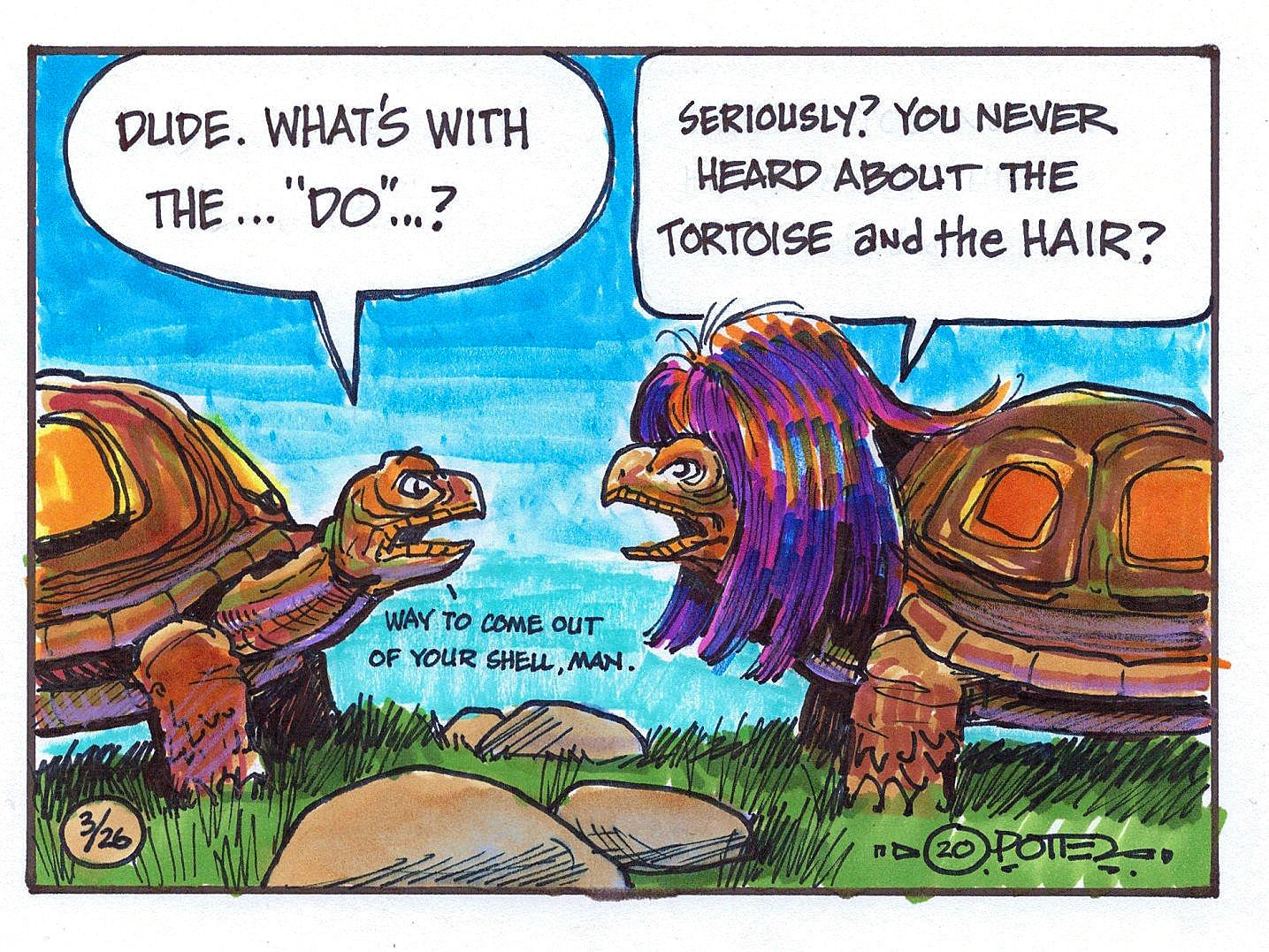 The Tortoise and the Hair