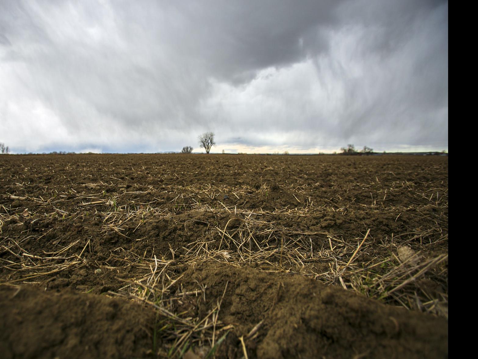 Dry March Uncertain Spring Moisture Concerns Montana Officials State Regional Billingsgazette Com All active dyk post clients receive unlimited storage for a flat rate and free repacking for their returns/redirection. dry march uncertain spring moisture