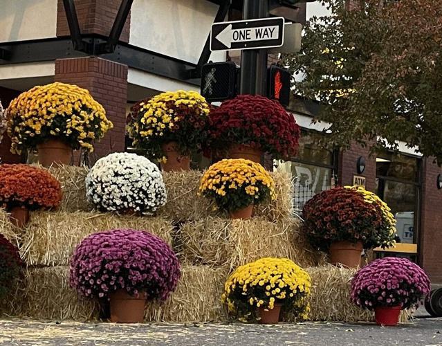 Lets all come together for Fall at the 22nd Annual HarvestFest: Oct. 10th