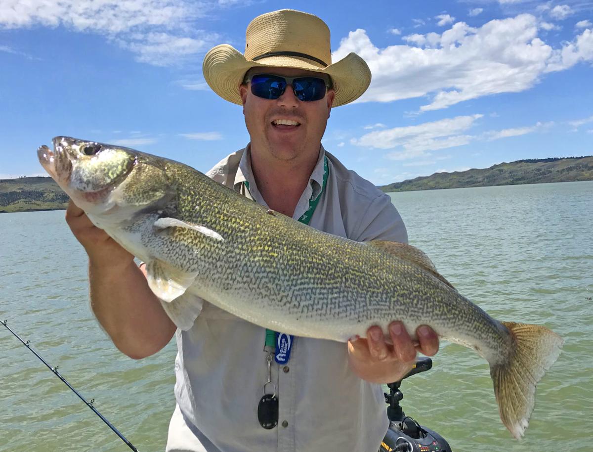 Blue Marsh Lake Fishing Report 2019 - Unique Fish Photo