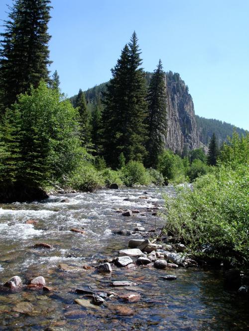 Tenderfoot Creek