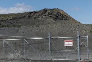 Western Sugar gives away dirt