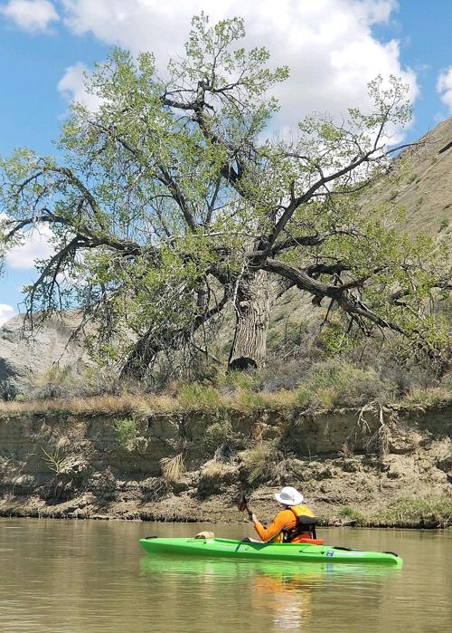 Bighorn River