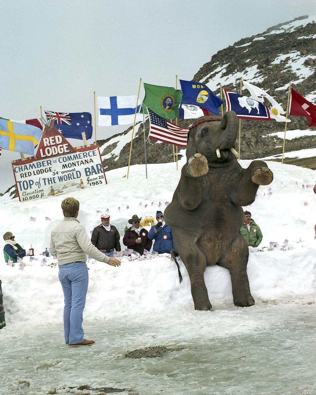 Opening Of The Most Beautiful Drive In America Once Included A