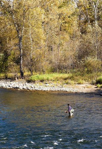 Stillwater River