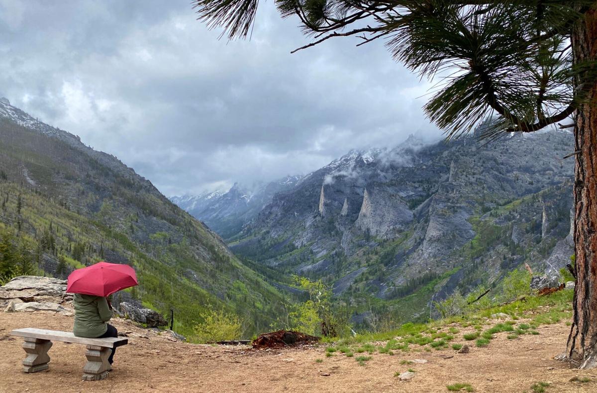 Blodgett Canyon overlook trail hikes through 2000 fire scar