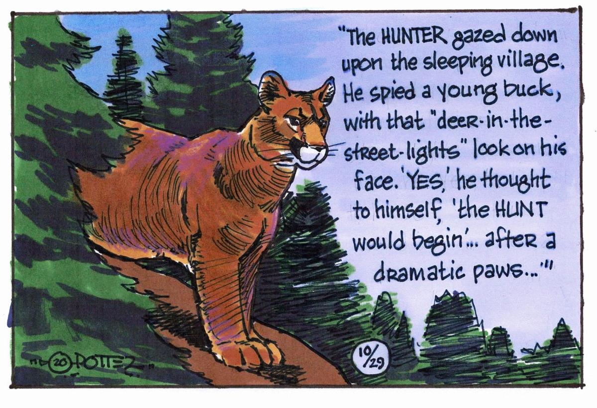 Cougar in the woods