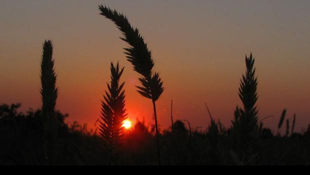 In Remembrance Eastern Montana Obituaries Dec 4 Dec 10 Local News Billingsgazette Com