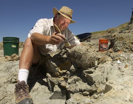 Famed fossil hunter to admit to dinosaur crimes