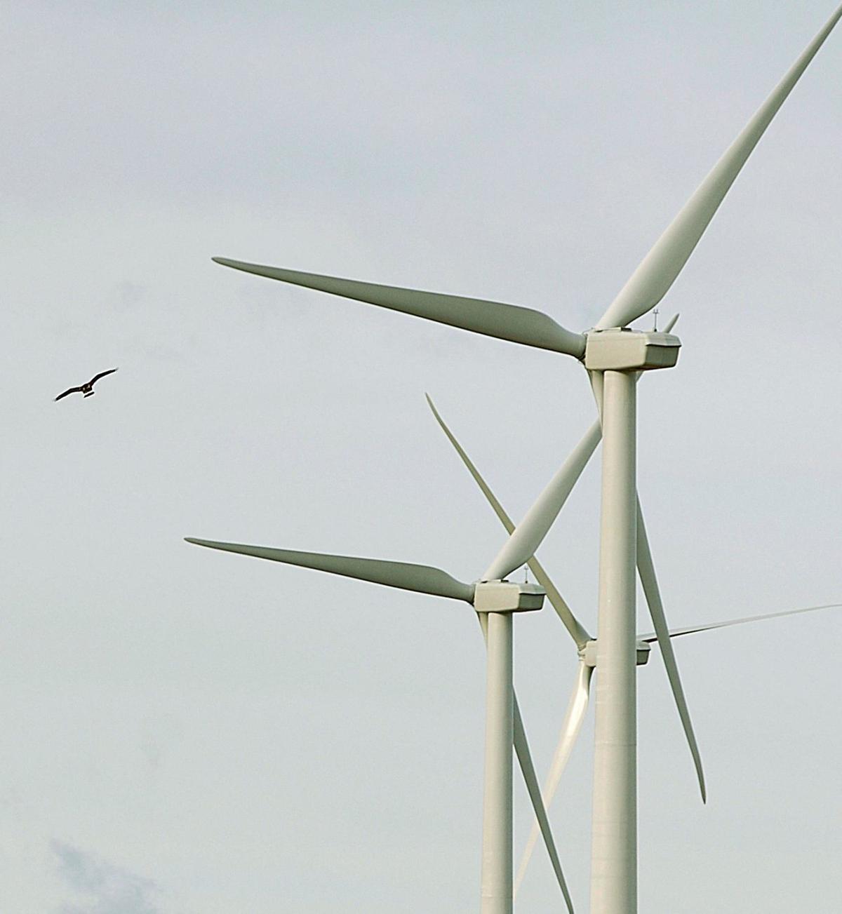 Minnesota Company To Build 30 Turbine Wind Farm In Central Montana