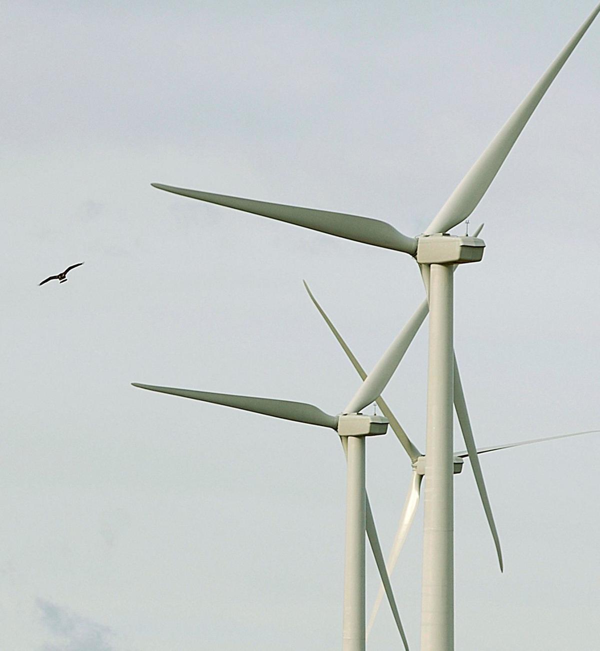 Minnesota Company To Build 30 Turbine Wind Farm In Central Montana Wind Turbine