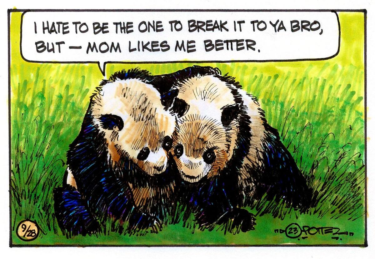 Baby Panda Saves Baby Egg, Kids Cartoon, Funny Cartoon for Kids, Panda  Cartoon