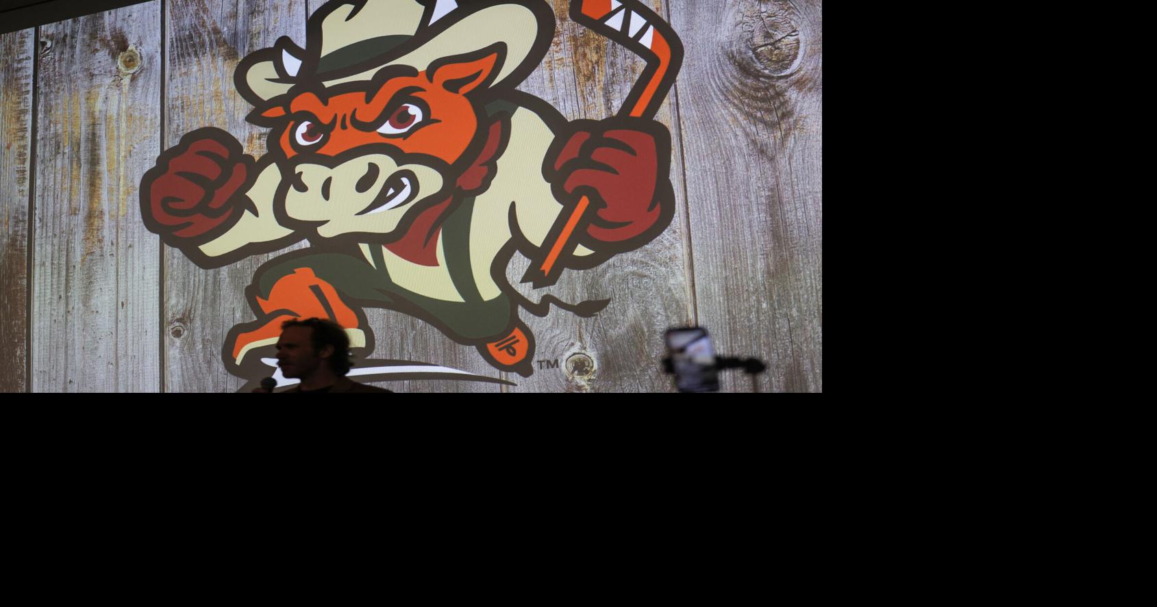 Billings Cattle Punchers reportedly sued as part of lawsuit for league switch