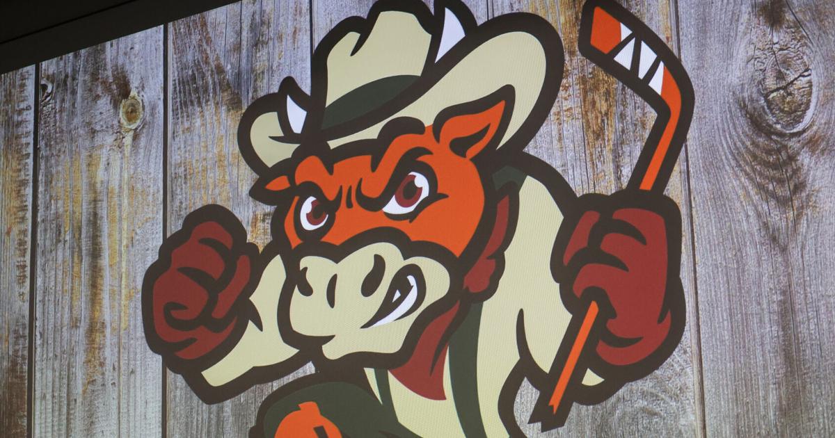 Billings Cattle Punchers reportedly sued as part of lawsuit for league switch