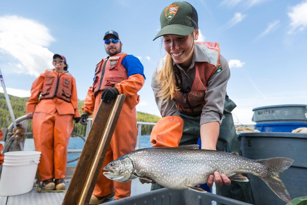 Lake trout caught by the crew of the NPS Hammerhead