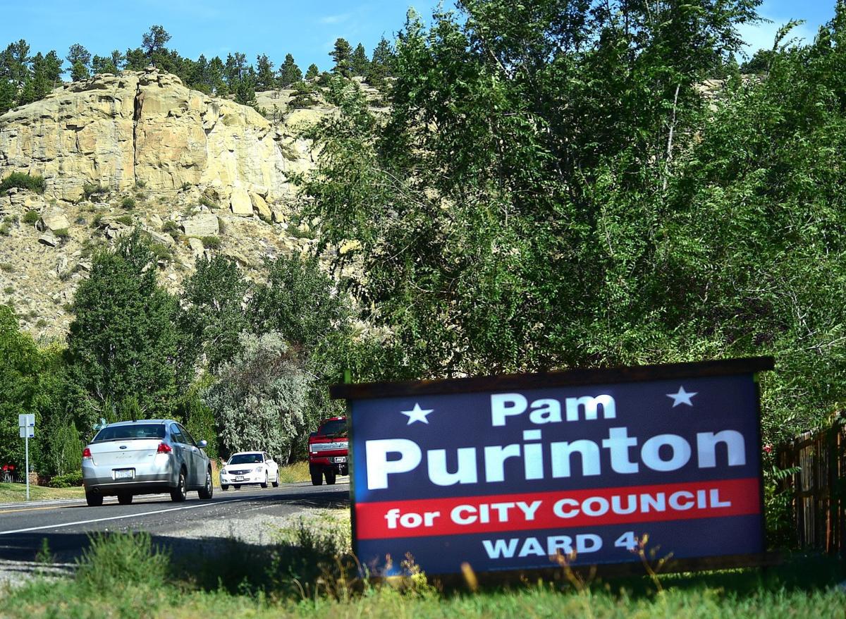Election sign