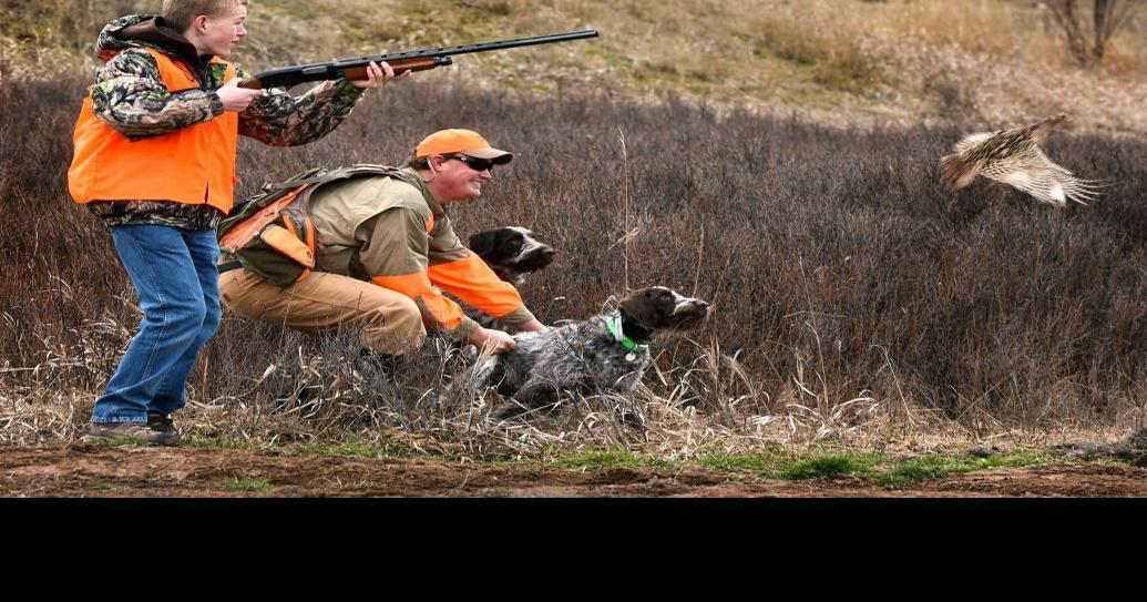 Missoula pheasant hunt teaches kids gun safety