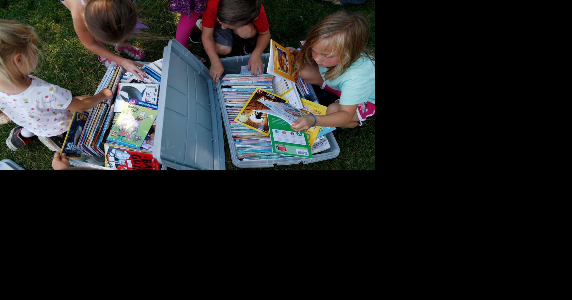 Reading Rocks program announced for summer 2021