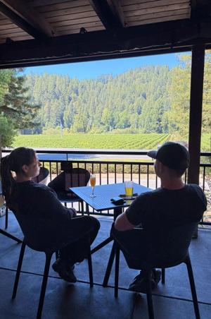 The view from Korbel Winery includes vineyards and forest along the Russian River.