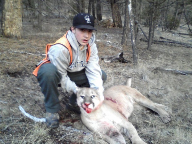 Hunter Shoots Cougar In Self Defense Montana News