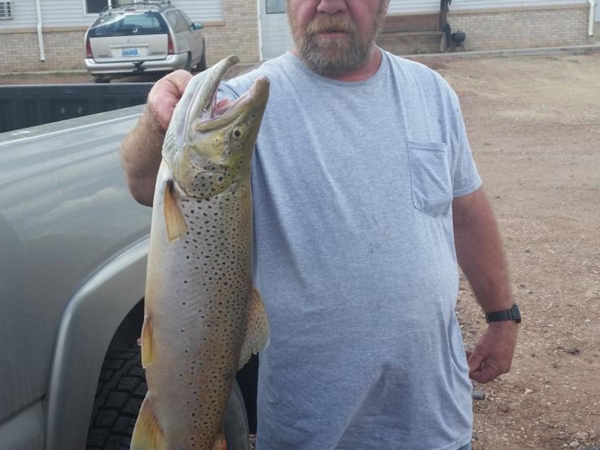 Montana Fishing Report Runoff Nears On Rivers Trout Still Cruising Reservoir Shorelines Outdoors Billingsgazette Com