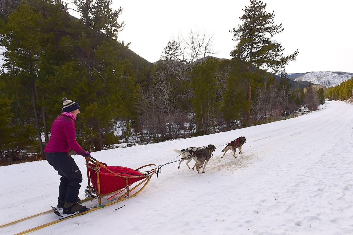 Jen Mignard and sled dogs