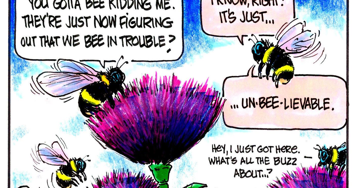 Montana bumble bee survey help needed - Vimarsana News