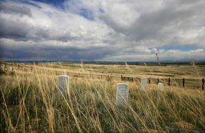 June 25 recap: Billings news you may have missed today