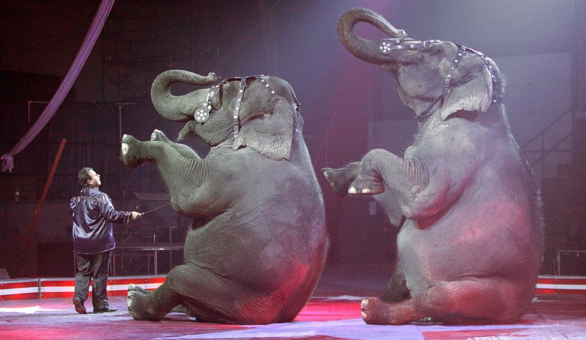 Circus keeping the elephants, but Shrine losing members Local News