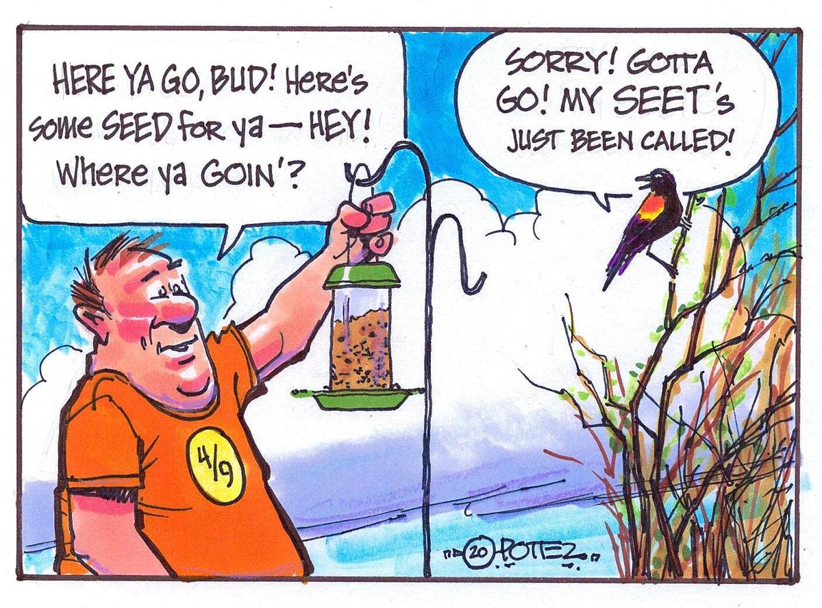 Bird warnings