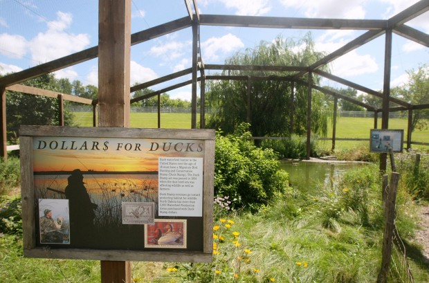 Donated aviary