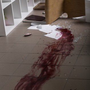 Blood-On-The-Floor-99177716.jpg