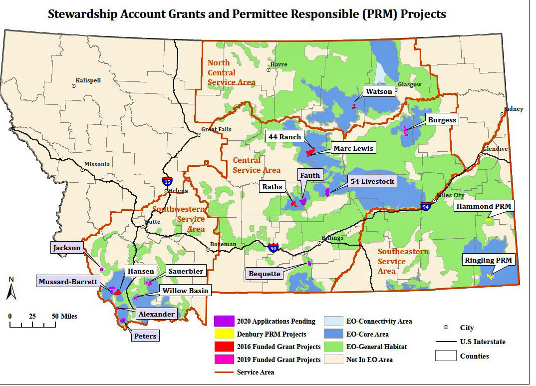 Grants fund easements to protect sage grouse habitat | Montana Untamed ...