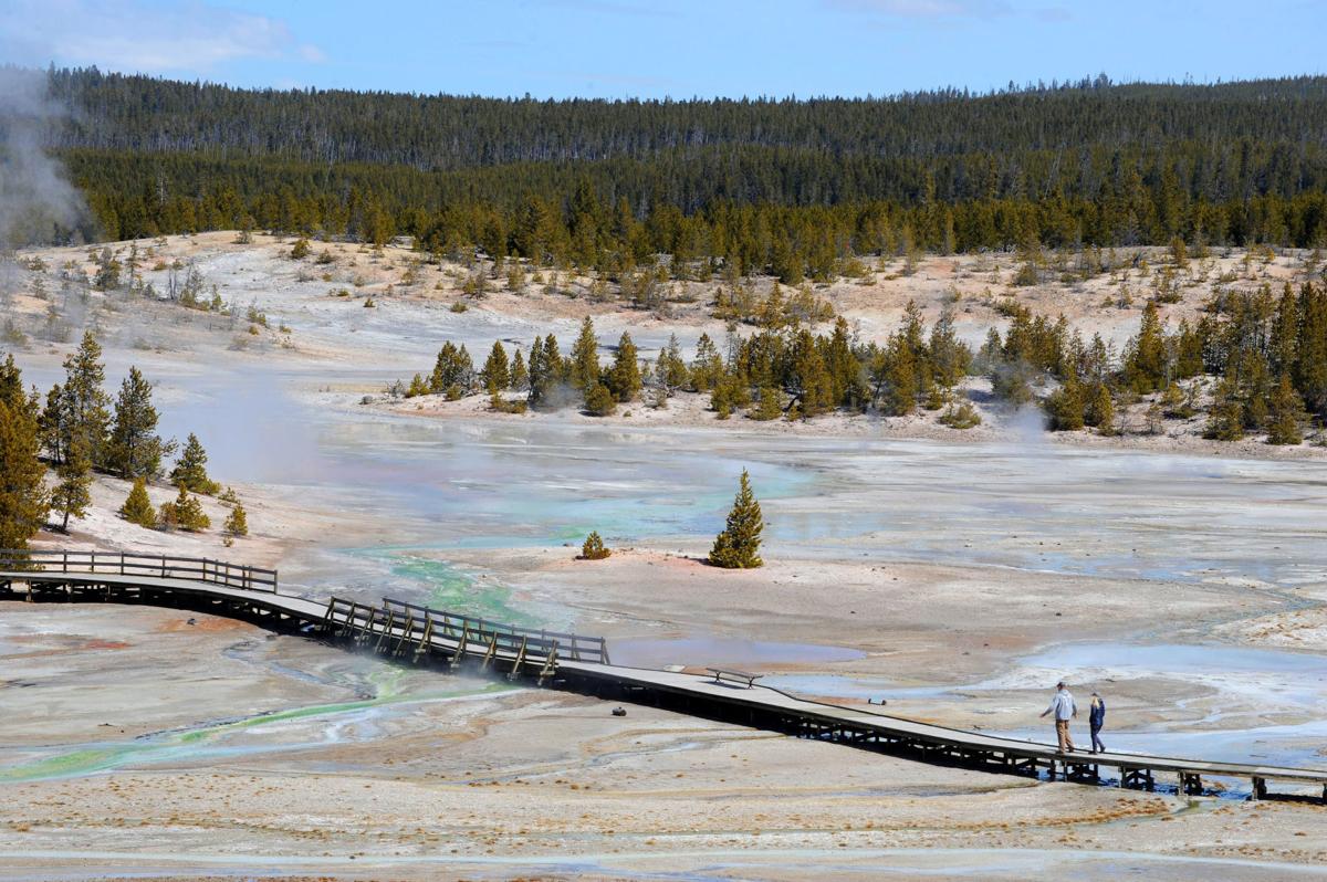 Norris Geyser Basin