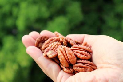 Trend alert: Pecans are the latest and greatest meat substitute