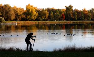 Invasive Brush Removed From Riverfront Park In Billings