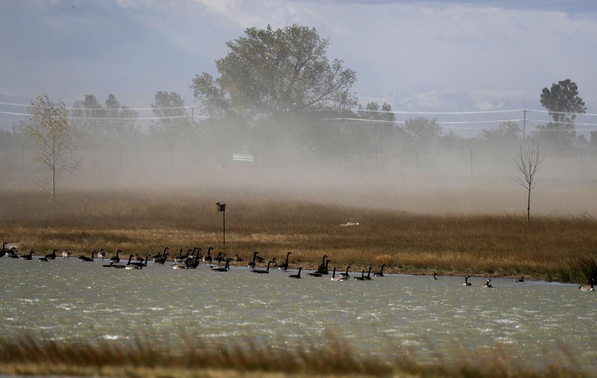 Photo Strong winds blow into Billings