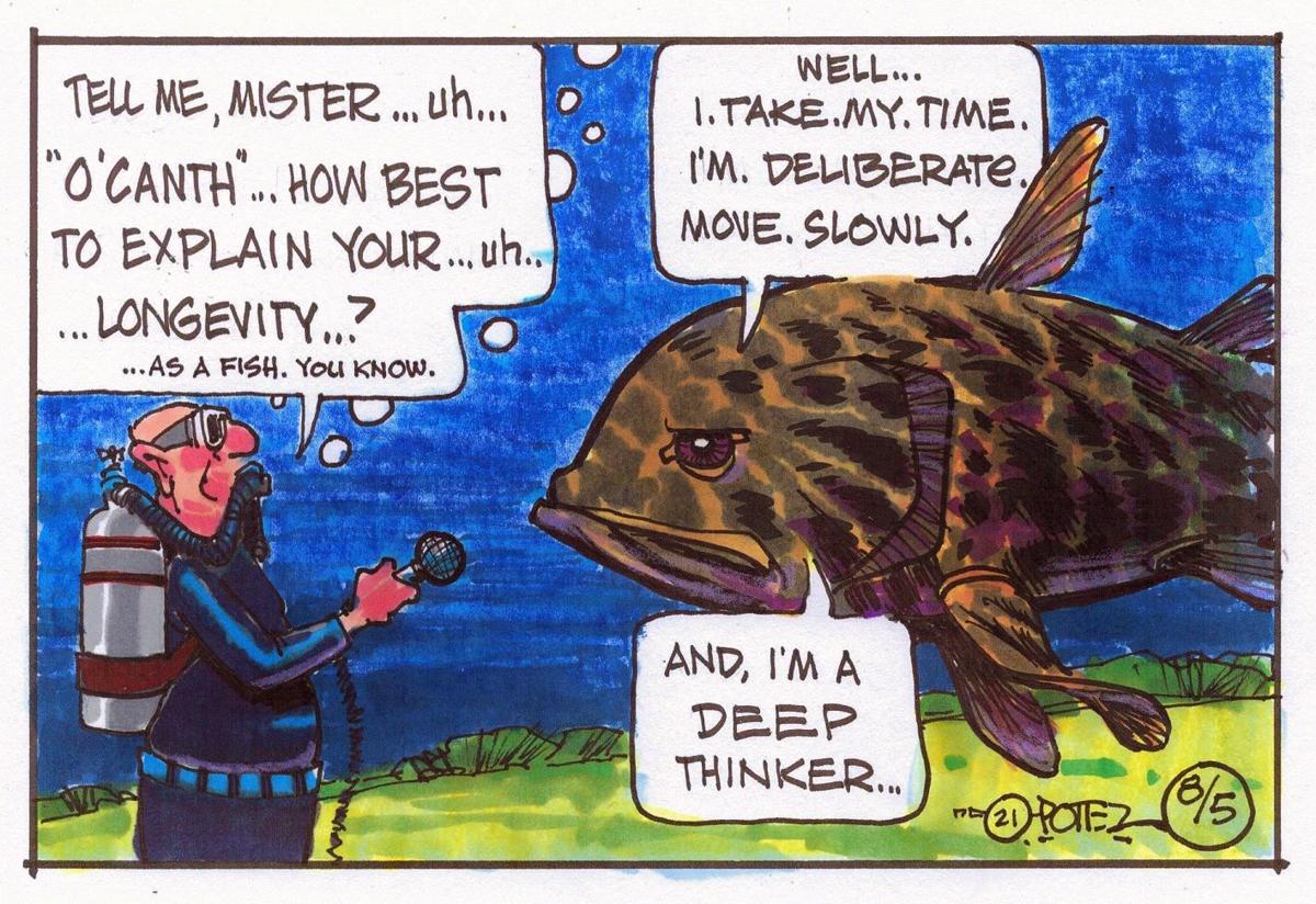Fish interview