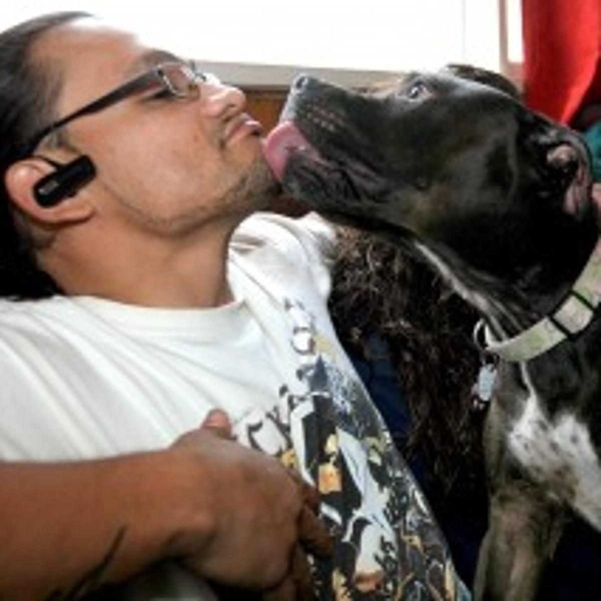 billings parolee his pit bull featured