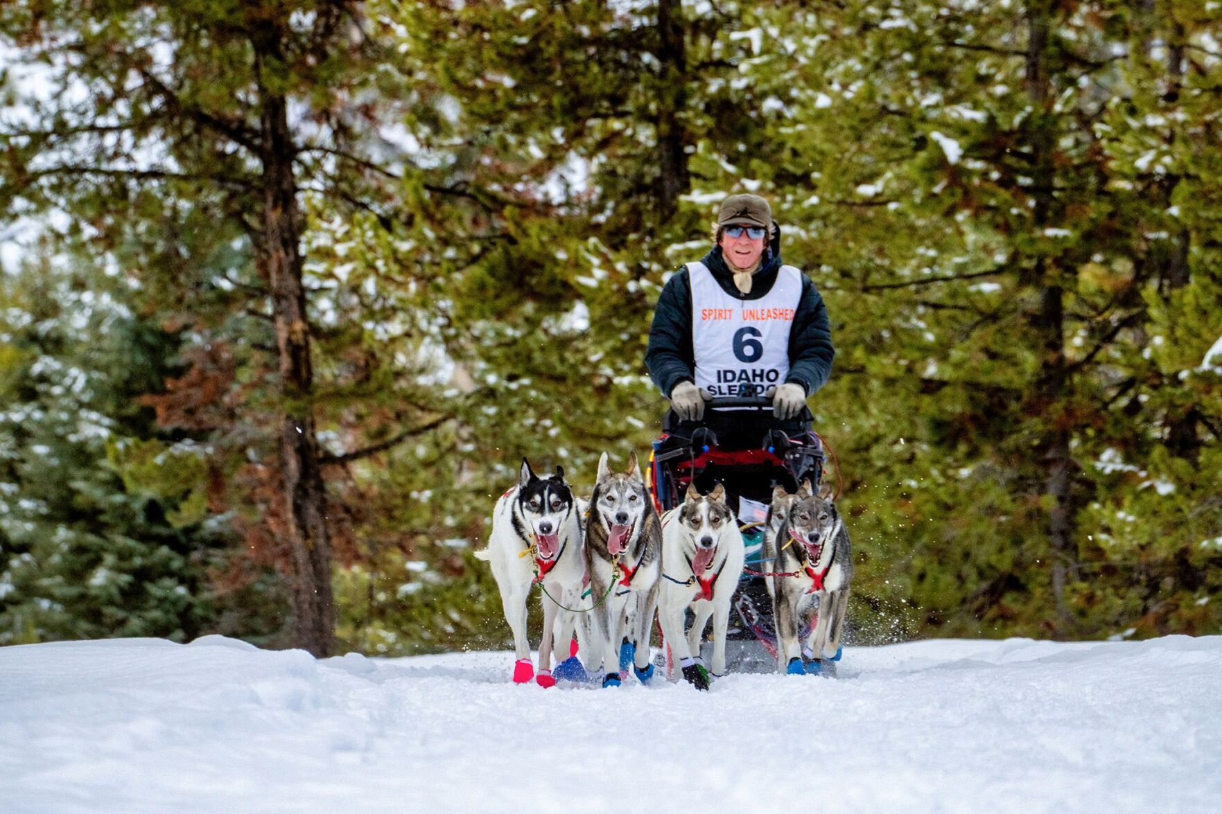 Montanan Musher Wins Idaho Race