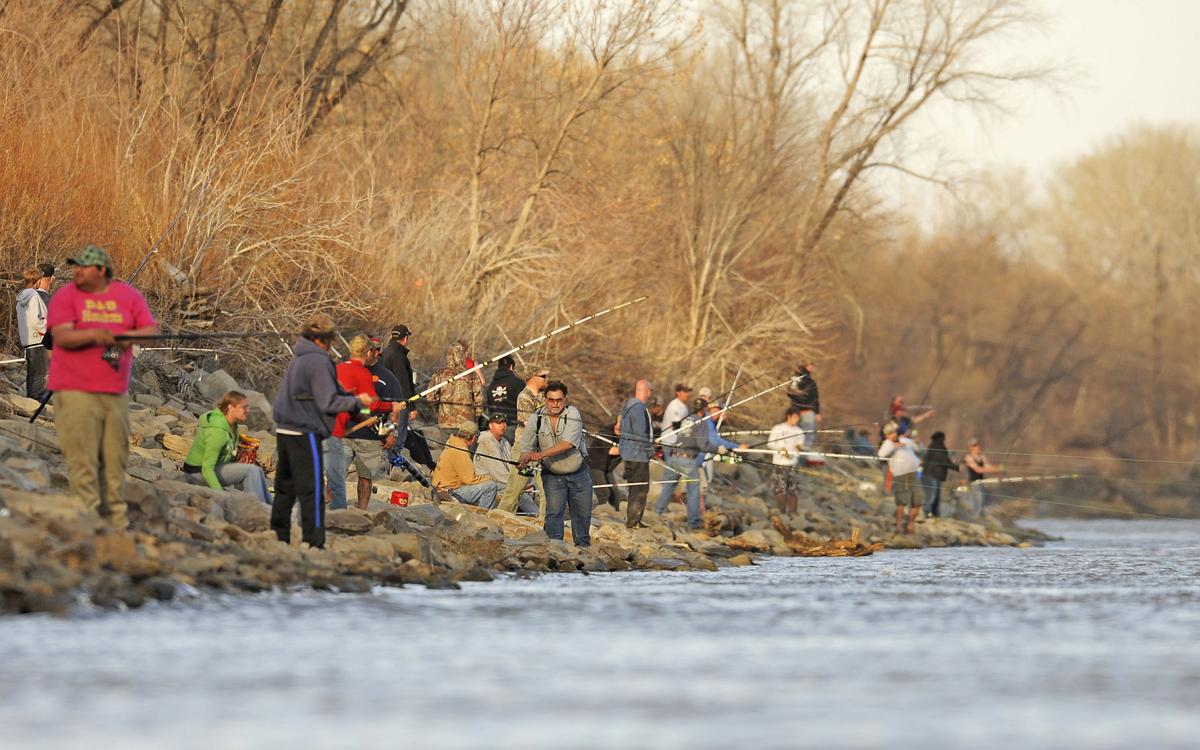 Paddlefish snagging season ends Monday