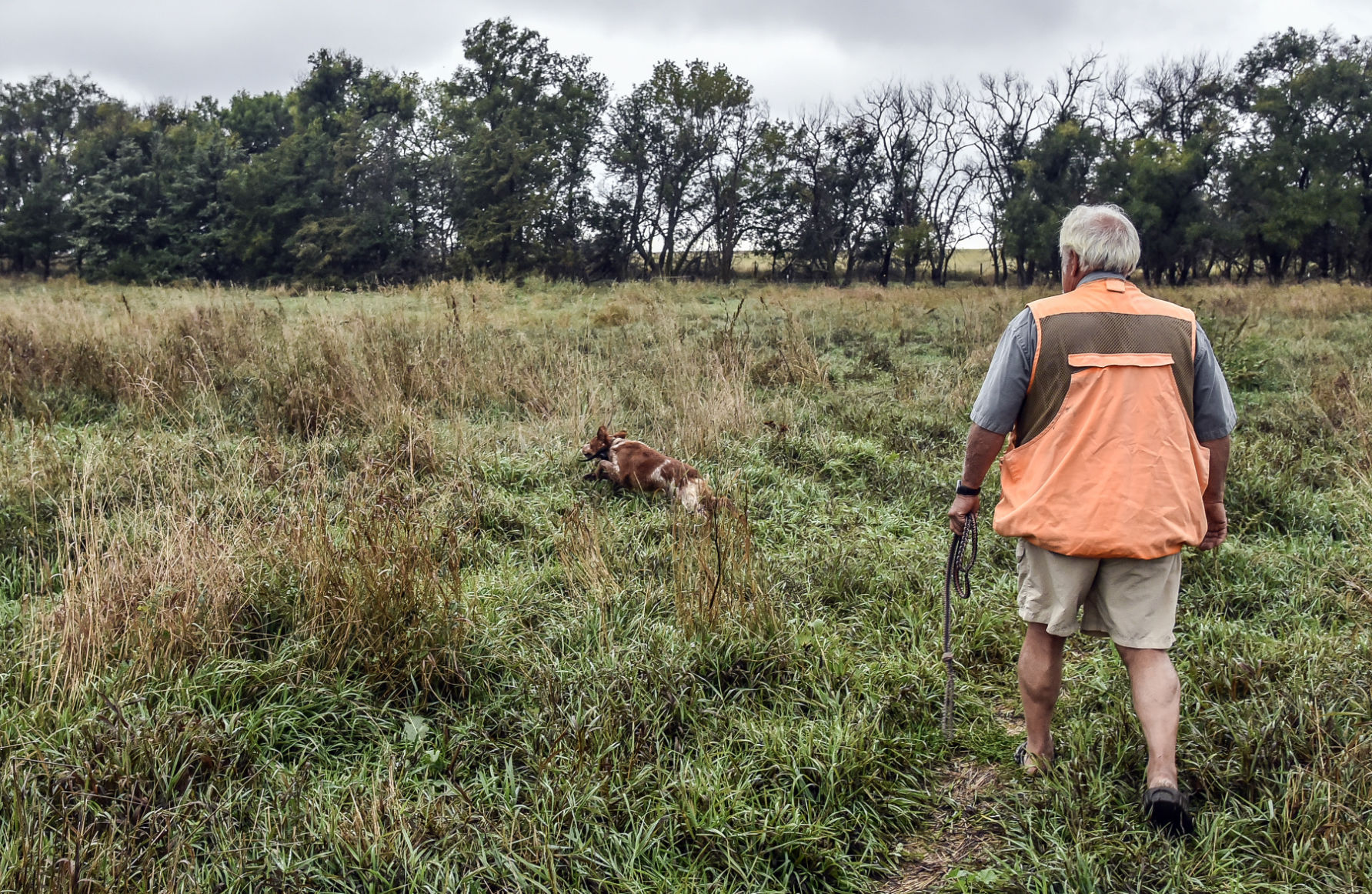 Straight creek outlet kennels